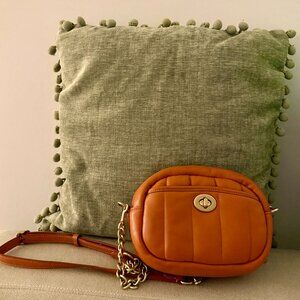 Small Coach Leather Camera Bag With Quilting, Style No. C4814